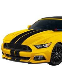 Mustang Racing Stripes