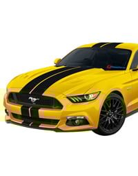 Mustang Stripes and Decals