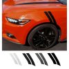 Graphic Express Fender Hash Mark Stripe Kit 2015-2017