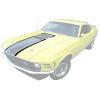 351Shaker Hood Stencil Stripe Kit 1970-1970